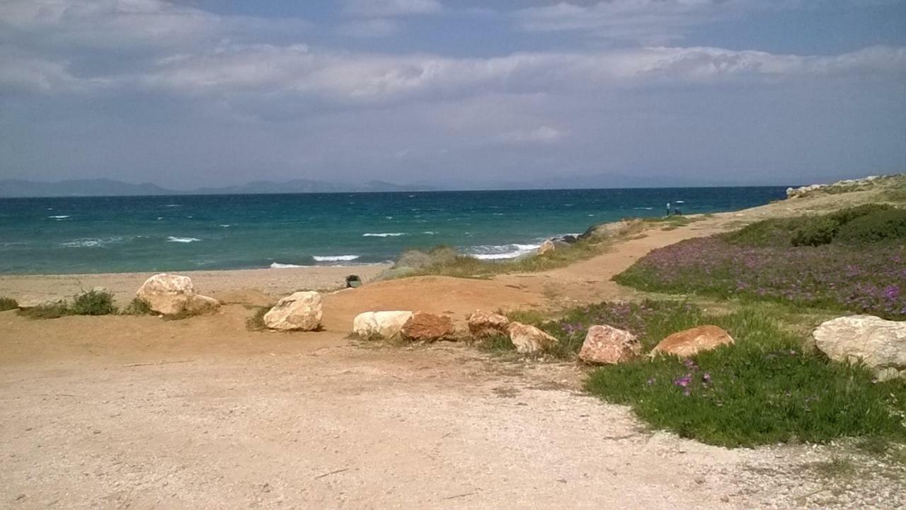 דירות ראפינה Nireos Proteos 20 מראה חיצוני תמונה