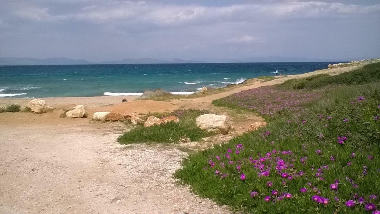 דירות ראפינה Nireos Proteos 20 מראה חיצוני תמונה